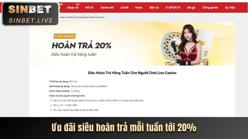 Phân tích các chương trình khuyến mãi ok365 casino mới nhất